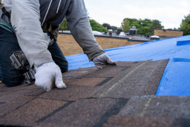 Best Tile Roofing Contractor  in Anton, TX