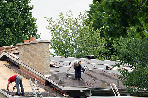Best Roof Gutter Cleaning  in Anton, TX